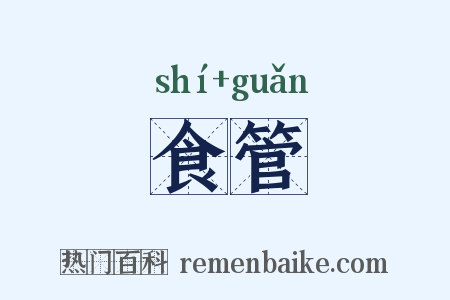 食管是什么意思的图片